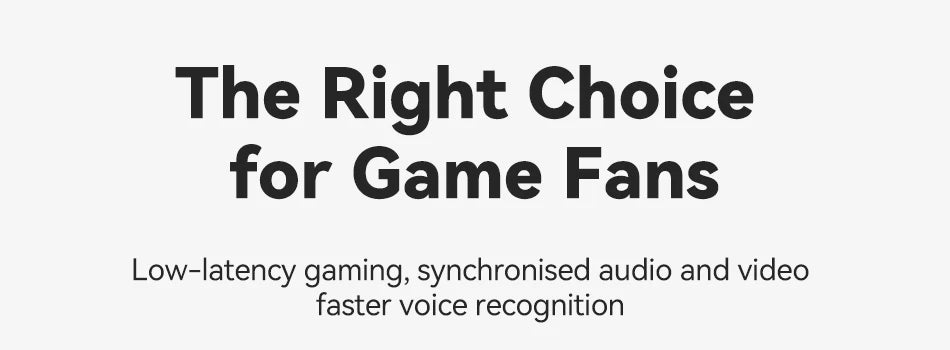 Rocoren Echo R02 ANC Earbuds