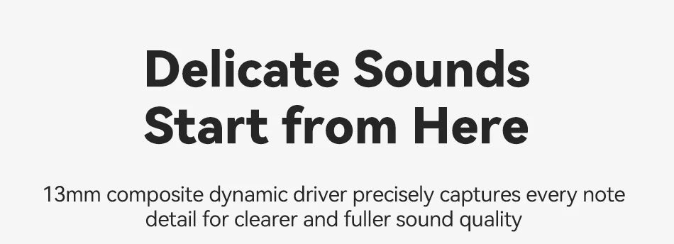 Rocoren Echo R02 ANC Earbuds